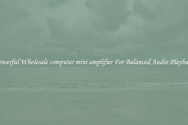 Powerful Wholesale computer mini amplifier For Balanced Audio Playback