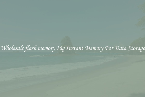 Wholesale flash memory 16g Instant Memory For Data Storage