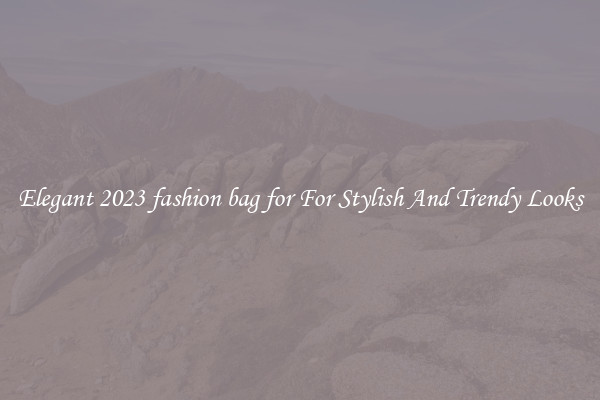 Elegant 2023 fashion bag for For Stylish And Trendy Looks