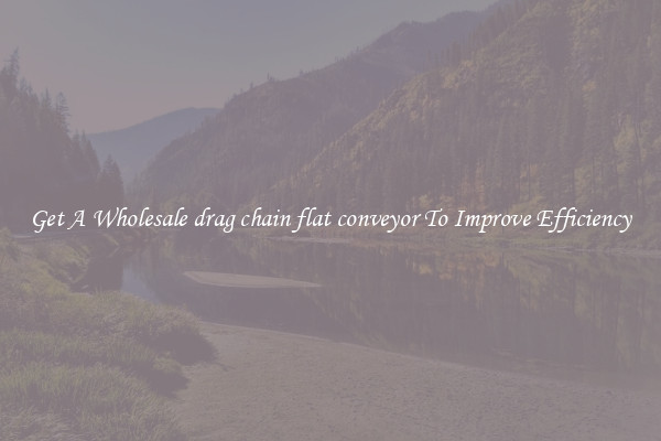 Get A Wholesale drag chain flat conveyor To Improve Efficiency