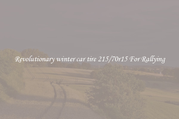 Revolutionary winter car tire 215/70r15 For Rallying