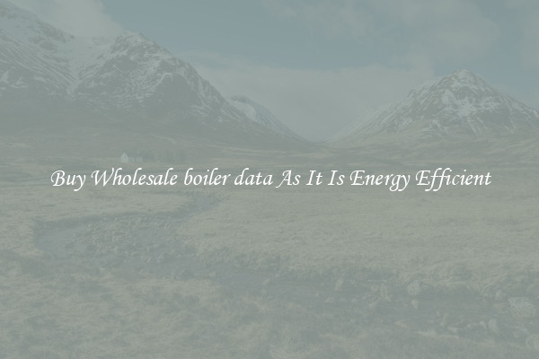 Buy Wholesale boiler data As It Is Energy Efficient