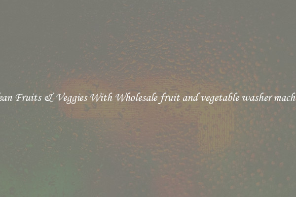 Clean Fruits & Veggies With Wholesale fruit and vegetable washer machine