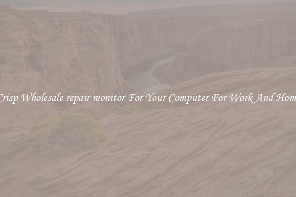 Crisp Wholesale repair monitor For Your Computer For Work And Home