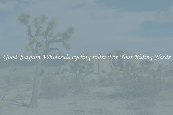 Good Bargain Wholesale cycling roller For Your Riding Needs