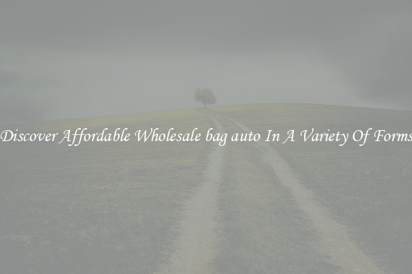 Discover Affordable Wholesale bag auto In A Variety Of Forms