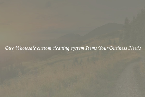 Buy Wholesale custom cleaning system Items Your Business Needs
