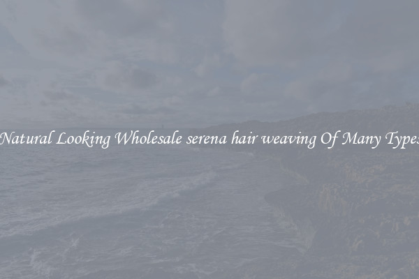 Natural Looking Wholesale serena hair weaving Of Many Types
