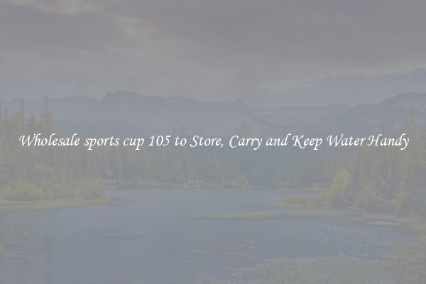 Wholesale sports cup 105 to Store, Carry and Keep Water Handy