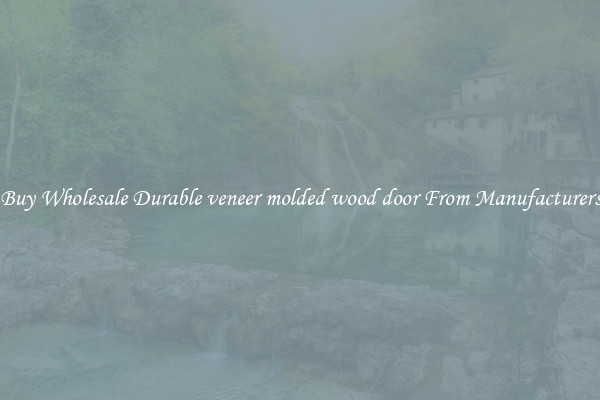 Buy Wholesale Durable veneer molded wood door From Manufacturers