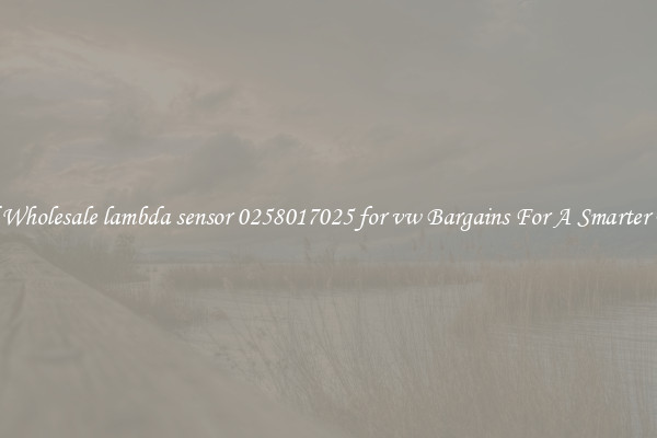 Find Wholesale lambda sensor 0258017025 for vw Bargains For A Smarter Drive